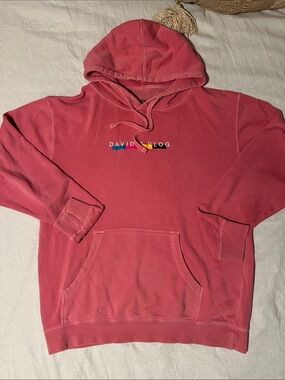 Vintage David Vlog Hooded Pullover Sweatshirt - Dusty Rose